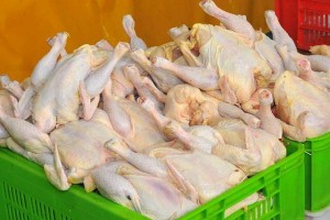 عرضه گوشت مرغ ۲۷ درصد بیشتر شد