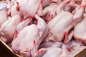 تولید گوشت مرغ بیش از نیاز کشور است