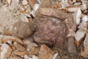 شناسایی جسد مومیایی کشف‌شده در شهرری امکانپذیر است