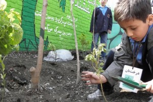 احداث «مدارس سبز» برای نخستین بار در۳ استان