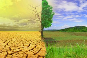 خسارت ۲۰۰ هزار میلیارد تومانی کشاورزی از تغییر اقلیم