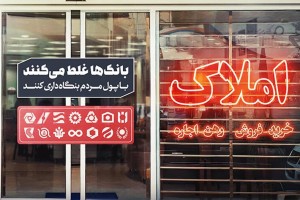 بنگاهداری بانکها با بی توجهی دولت ادامه دارد