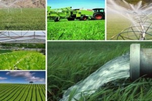 ۴۶ همت برای پوشش بیمهای تمام زیربخشهای کشاورزی نیاز است