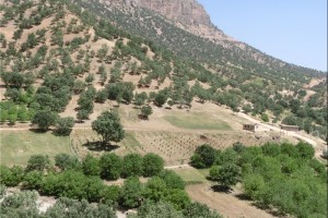 همکاری ژاپنی ها در حوزه آبی کارون اجرایی شد