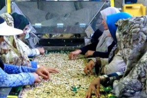 اجرای طرح فروش تضمینی تولیدات مشاغل خانگی