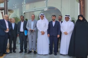 توسعه روابط اقتصادی قشم با کشورهای منطقه در دستور کار