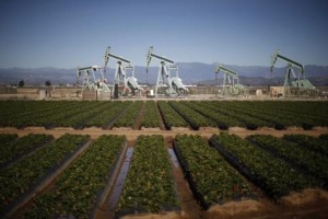 دوربرگردان نفت پس از مدتها کاهش متوالی