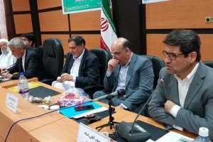 سرمایه گذاری 85 میلیون دلاری هندی ها در چابهار