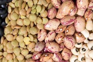 46 هزار و 268 تن انواع حبوبات در کردستان تولید می شود