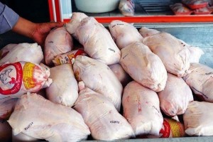 آمادگی توزیع مرغ منجمد بر اساس نیاز استانها