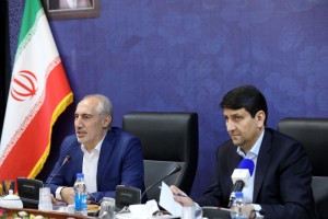 مشارکت بخش خصوصی شاهبیت تحول دیجیتال دولت است