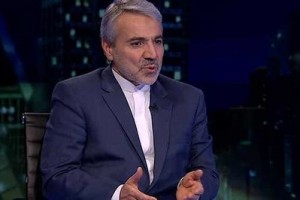 اعلام تصمیمات جدید ارزی دولت در دو هفته آینده