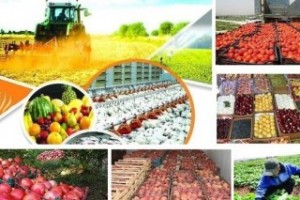 تمدید مهلت ثبتنام دانشبنیانها برای حضور در نمایشگاه کشاورزی شیراز