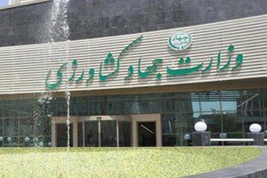 نیازی به واردات برنج نیست