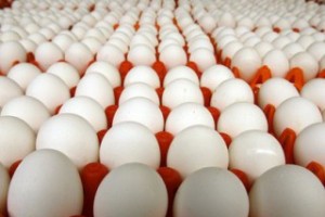 گرمای هوا قیمت تخم مرغ را کاهش داد