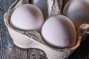 مجوز خرید حمایتی ۳۰ هزار تن تخممرغ صادر شد