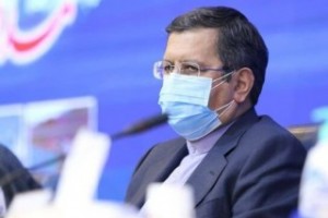 تاکید وزیر اقتصاد بر تقویت جایگاه ایران در بریکس