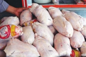 توزیع گوشت مرغ تنظیم بازار آغاز شد